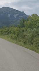 Mountain road and wildflower meadows near Lermontov, Russia