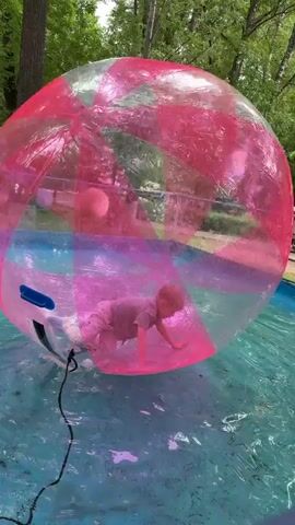 A young child crawls inside a large, clear inflatable ball with pink accents. The ball is partially submerged in a blue pool of water. The child is on their hands and knees, and the ball is moving. Trees and foliage are visible in the background, suggesting an outdoor setting. A black cord is attached to the ball.