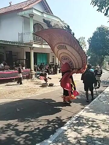A person in a large, elaborate costume with a wide, fan-like headdress is performing on a paved road in front of a building. The costume is predominantly brown and red, with fringe at the bottom. The headdress has "GATOEK" written on it. Several other people are present, some watching and others participating in the performance. One person is wearing a dark outfit and appears to be holding a whip or stick. The environment is outdoors, with trees and houses visible. The lighting suggests it is daytime. The overall scene depicts a cultural performance or festival.