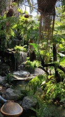 Lush garden café in Đà Nẵng with koi ponds and waterfalls