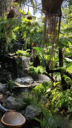 Lush garden café in Đà Nẵng with koi ponds and waterfalls