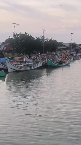 The video shows a collection of colorful fishing boats docked along a waterfront. The sky is overcast with hints of pink and orange, suggesting either sunrise or sunset. The water is calm and reflects the sky and the boats. Trees and structures are visible on the shore behind the boats, and there are several lampposts scattered along the coastline. The boats are varied in size and color, with many featuring bright green, white, and red paint. Some of the boats appear to be empty, while others may have fishing equipment or supplies on board. The overall scene depicts a quiet harbor, likely in a coastal community.