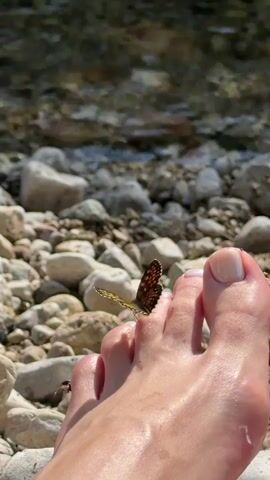 A close-up, low-angle shot focuses on a person's bare foot and toes resting on a pebble-strewn beach. A small, brown and orange butterfly is perched on the big toe of the foot. The butterfly's wings are partially open, revealing intricate patterns. In the background, shallow, clear water flows over smooth, multicolored stones, with sunlight glinting on the surface. The overall scene evokes a sense of calm and nature.