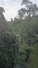 Rain falls over green Kyiv from above on a grey day