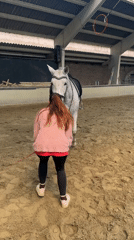 Woman works with horses at Belgian riding arena