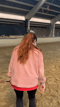 Woman works with horses at Belgian riding arena