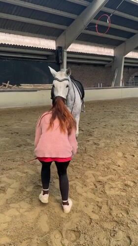 Woman works with horses at Belgian riding arena