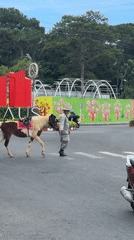 Military-dressed man walks horse across city street in Da Lat