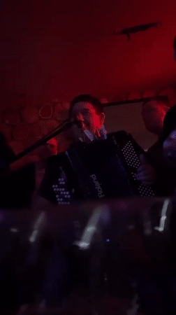 Accordion performer entertains patrons at Kragujevac nightclub