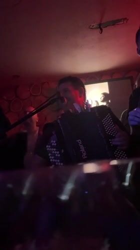 Accordion performer entertains patrons at Kragujevac nightclub