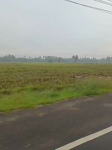 The video shows a view from a vehicle traveling on a paved road. On the left side of the road, there are fields with some standing water and vegetation, and a building with a corrugated metal roof. On the right side of the road, there are palm trees. Utility poles with numerous wires run along both sides of the road. In the distance, several motorcycles and a car are visible on the road. The sky is overcast. The video appears to have been filmed in a rural or semi-rural area, possibly in a tropical or subtropical climate.