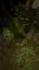 Drummer performs at paper-covered nightclub in Zlatograd