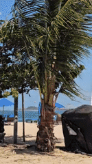 Kitesurfing session in full swing on a Denpasar beach