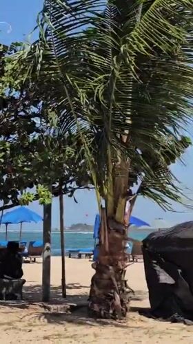 Kitesurfing session in full swing on a Denpasar beach
