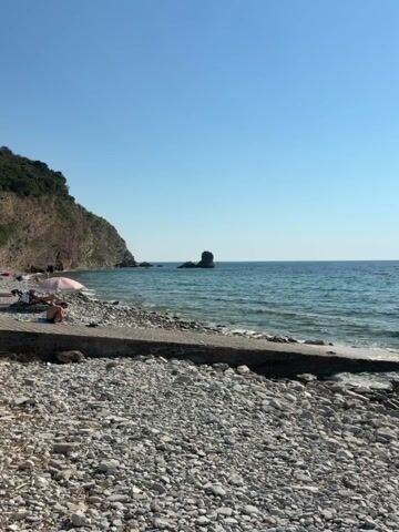 This media file showcases a serene coastal scene in Golubovići, Montenegro. The image features a picturesque beach with a shoreline composed of smooth, grey pebbles. In the foreground, a weathered concrete structure, possibly a pier or a retaining wall, runs along the edge of the beach.

To the left of the frame, a person is seated on the pebbled shore, enjoying the beach under a light pink umbrella. This suggests a leisurely activity, likely sunbathing or simply relaxing by the sea.

The sea itself is a deep, clear blue, with gentle waves lapping against the shore. In the distance, a distinctive rock formation juts out of the water, adding a unique geological feature to the landscape. The background is dominated by a lush, green hillside that slopes down towards the sea, creating a dramatic contrast with the blue water and sky.

The sky is a vast expanse of clear, bright blue, indicating a sunny and pleasant day. The lighting suggests it is daytime, likely mid-morning or afternoon, given the brightness and clear visibility. The overall mood conveyed is one of tranquility and natural beauty, inviting a sense of peace and relaxation. There is no visible text in the media file.