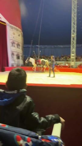 A young boy in a black leather jacket sits in a seat, facing forward, at a circus. He watches a woman in a red and black costume ride a white and black horse around the circus ring. A second woman in a black outfit stands in the ring. Behind the ring are audience members. A stage-like backdrop is partially visible behind the horse, with a red curtain on the left and a picture of a building on the right. A banner with writing in a foreign language is visible above the curtain.