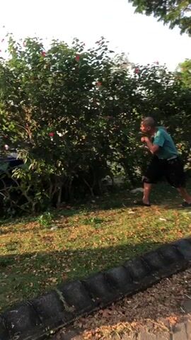 A person is seen from behind, facing a large, leafy bush with red flowers. The person is wearing a green t-shirt and dark shorts. They are on a grassy area with fallen leaves. To the right, a curb and pavement are visible. The sun is casting shadows, suggesting it is daytime.