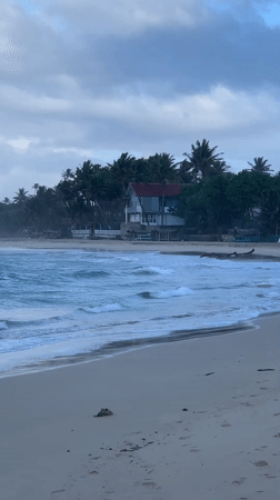 Dog spotted on Sri Lankan beach during early morning hours