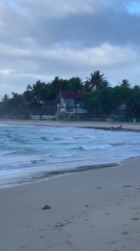 Dog spotted on Sri Lankan beach during early morning hours