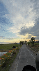 Driver captures scenic route through rice paddies in North Kuta