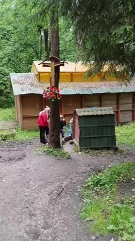 The video shows a wooded area with a small building with a yellow roof and wooden walls. In front of the building, there is a tree with a cross on it adorned with red flowers. Two people are near the tree, one in a red jacket and the other in black. There is a water dispenser or well to the right of the tree, with a green structure next to it. Another person appears to be using the water dispenser. The ground is dirt and there is vegetation around. A utility pole with a sign is visible on the right side of the frame.