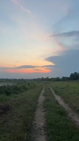 A dirt road winds through a grassy field as the sun sets. The sky is a gradient of soft colors, with streaks of pink and orange clouds against a pale blue backdrop. In the distance, a line of trees marks the horizon, and the faint silhouette of buildings can be seen. The overall mood is peaceful and serene.