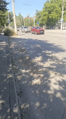 Daily life documented in Sevastopol: traffic, church, cat