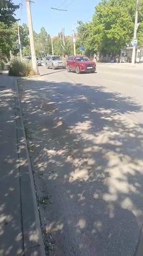 Daily life documented in Sevastopol: traffic, church, cat