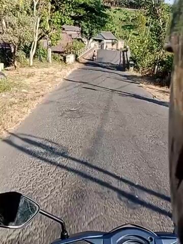A first-person perspective video shows a person riding a motorcycle down a paved road. To the left of the road, there are dry grasses and trees. Further down the road, there is a bridge with a few buildings and trees visible on the other side, with a person on a motorcycle crossing the bridge. The road is in poor condition with cracks and uneven surfaces. The sky is clear and the sun is shining.