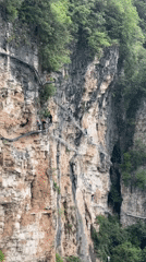 Tourists explore Zhangjiajie glass bridge during early morning visit