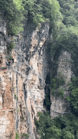 Tourists explore Zhangjiajie glass bridge during early morning visit