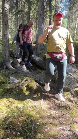 A group of people is hiking down a mossy hill in a sunny forest. There are about eight people, adults and children. The person in the foreground is a man wearing a tan shirt, dark pants, and white hiking shoes. He also has a red fanny pack around his waist.  He is carefully walking down the hill.  Behind him, other hikers are also descending, including a man in a floral shirt and a woman in a gray tracksuit. The ground is covered in green moss, tree roots, and rocks. The trees in the background are tall and green.