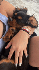 Woman holds sleeping puppy in Puebla, Mexico