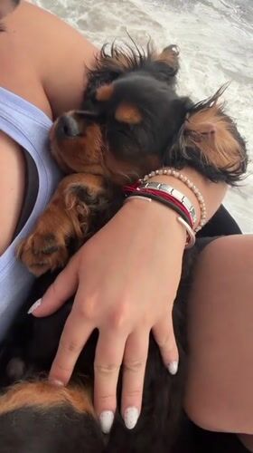 Woman holds sleeping puppy in Puebla, Mexico