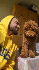 Man shares tender morning moment with dog in Yerevan