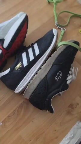 The video shows three pairs of sneakers on a wooden floor. A person's hand appears in the frame, moving around the sneakers, as the person asks which pair is the best. The sneakers are Nike Air Max, Adidas SL 72, and Lacoste sneakers. There are two dog leashes near the sneakers.