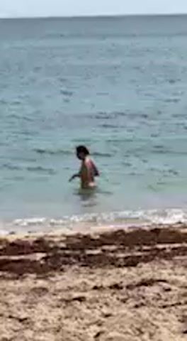 A distant shot shows a person standing in the shallow, clear blue-green ocean water. The person, appearing to have dark hair, is partially submerged, with the water reaching their waist or lower chest. Small waves gently break around their legs as they face slightly to the left. The foreground consists of a sandy beach, with a line of what appears to be seaweed or natural debris along the waterline. The sky above the horizon is light blue and clear, indicating a sunny day. The scene depicts a calm beach environment in Barbate, Spain.