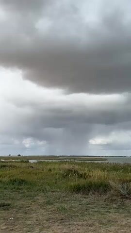 A storm is approaching a body of water. Rain is falling in the distance. A white car is parked on the right side of the frame, facing away from the viewer. The sky is cloudy and gray. The ground in the foreground is dry and covered with patchy grass. There is tall grass and reeds along the edge of the water.