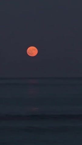 The video shows a large, orange moon hovering above a dark, rippling body of water, likely the ocean. The sky is a deep, dark blue. The moon is fully illuminated and appears to be slightly out of focus, giving it a soft glow. The water reflects a faint orange light from the moon, creating a subtle shimmer on its surface. The overall scene evokes a sense of calm and tranquility.