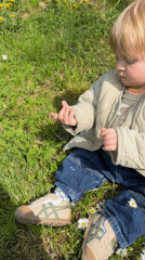Toddler sits in daisy field in Erba, Italy