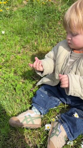 Toddler sits in daisy field in Erba, Italy