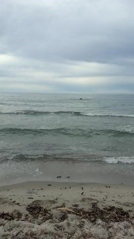 The video displays a static, eye-level shot of a beach on a cloudy day. The foreground is dominated by a sandy beach strewn with debris, including dark seaweed and small pieces of wood. Footprints are visible in the sand. The middle ground features the ocean with multiple waves breaking near the shore, creating white foam and spray. The water is a muted green-gray color. In the distance, the ocean stretches to the horizon under a heavily overcast sky. A small, dark object, possibly a buoy or a distant swimmer, is visible in the far distance on the water. The overall atmosphere is subdued and calm.