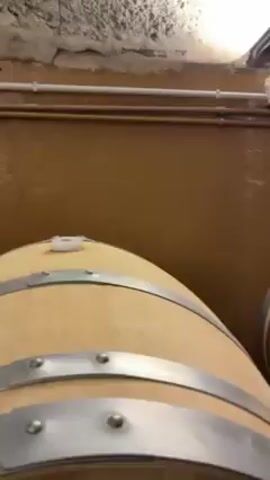 The video shows a group of people standing among wooden barrels in a room with arched brick ceilings.  The barrels are light in color with silver bands. Some of the barrels are labeled "Protos". The people are mostly facing away from the camera. Many are wearing coats. The room looks like a wine cellar.