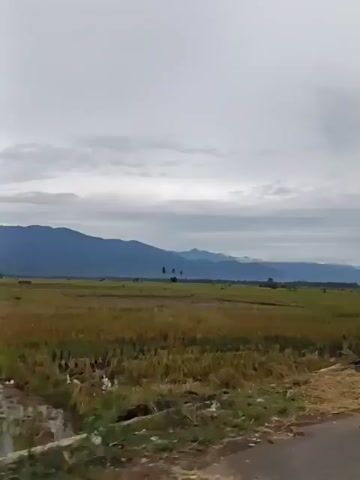 The video begins with a wide shot of a rural landscape under a cloudy sky. In the foreground, there is a road with a concrete barrier on the left side and dry vegetation. Beyond the road, there is a field of golden crops. In the distance, a range of mountains is visible. The camera then pans to the right, following the road. Two motorcycles are seen riding on the road in the distance. There are some small structures and trees along the side of the road. The video continues to show the road stretching into the distance with motorcycles and occasional buildings and vegetation. The sky remains overcast throughout the video.