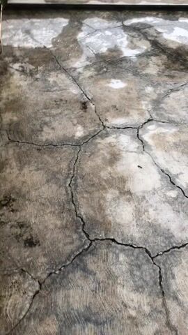 The video shows a close-up, low-angle shot of a cracked concrete floor. The concrete is weathered and stained, with patches of moisture and dirt. Several large cracks run across the surface of the floor, forming an irregular pattern. The lighting is dim, suggesting an indoor or covered outdoor space. The camera moves slightly throughout the video, causing minor shifts in perspective. No people or other objects are visible in the frame.