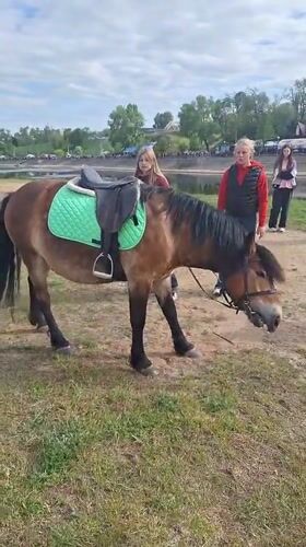 Victory Day activities observed in Rechytsa including memorials, horseback riding