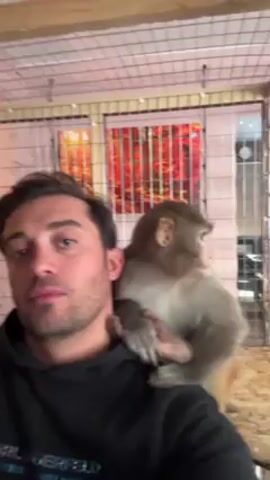 A man with dark hair and stubble wears a black Karl Lagerfeld hoodie. He is holding a phone and recording himself with a monkey sitting on his left shoulder. The monkey is tan, beige and gray in color. The monkey's left hand is resting on the man's chest. The monkey is looking to the right. The background is a gray metal wire cage. There is an image framed and mounted on the back wall within the cage. The image is dominated by colors of red and orange.