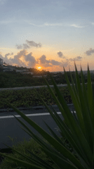 Sunset captured through vegetation in Kuta Selatan, Indonesia