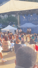 Traditional folk dance performance at Budapest's Duna Karnevál Festival