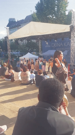 Traditional folk dance performance at Budapest's Duna Karnevál Festival